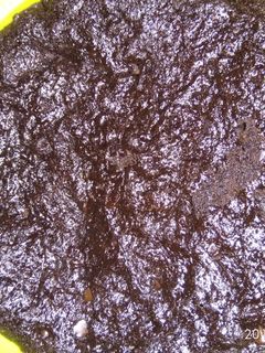 Foto resep Nutricake brownies magicom