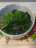 Sayur Bayam jepang