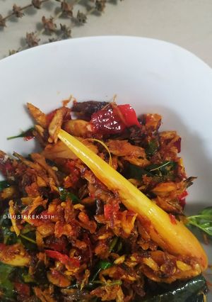 Foto resep Tongkol suir pedas kemangi
