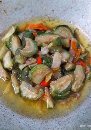 Foto resep Oseng Terong Pedas Rumahan