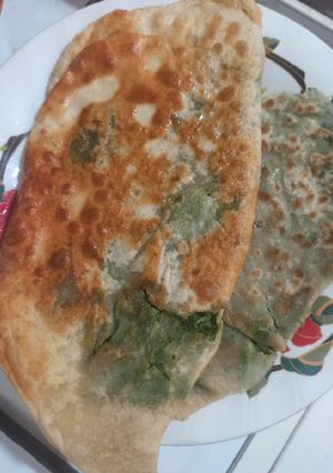 عکسی از دستور بولانی افغانستانی