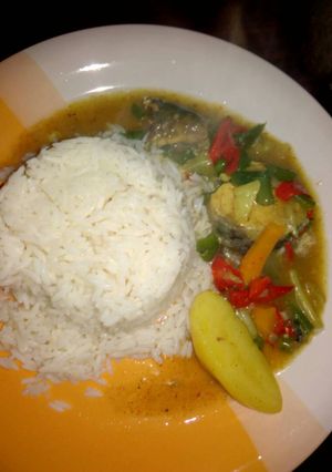 A picture of White rice with chicken sauce.