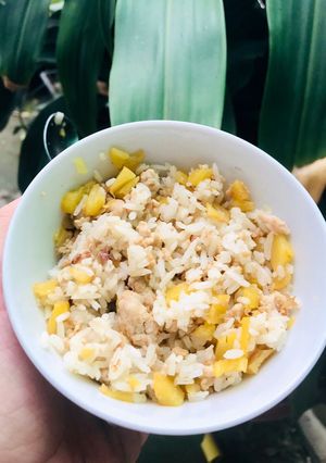 Hình của món Ăn dặm: cơm thịt heo xào thơm.