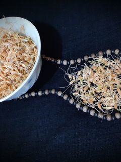 عکسی از دستور جوانه گندم