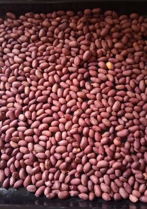 A picture of Oven Roasted Peanuts.