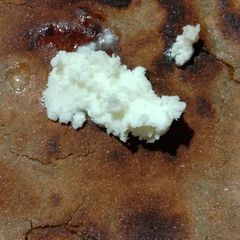 A picture of Bajra Roti.