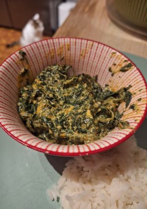 Une photo de Palak