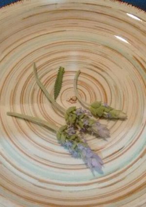 Una foto de Té o infusión de lavanda para el insomnio. ॐ
