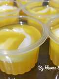 Puding degan jeruk 🍹