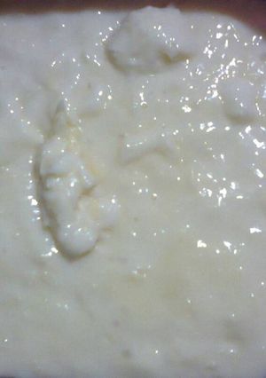 Foto resep Keju Mozarella
