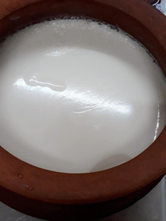 A picture of Mishti Doi.
