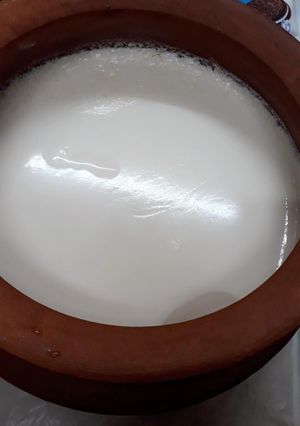 A picture of Mishti Doi.