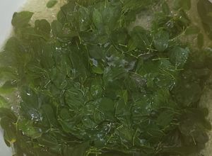 Foto resep Sayur bening Daun Kelor