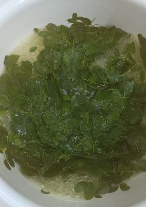Foto resep Sayur bening Daun Kelor