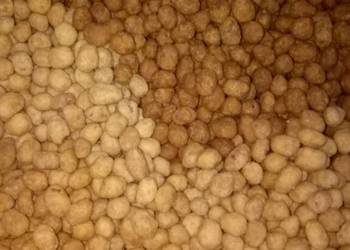 Resep Terbaru Kacang telur manis Sedap Nikmat