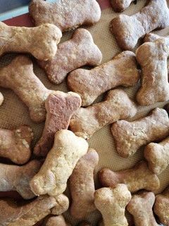 Una foto de Galletas para perritos