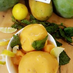 A picture of MANGO SORBET .