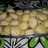 Scones de vainilla dulces