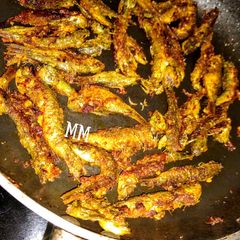 A picture of Small fish fry.