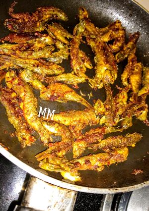 A picture of Small fish fry.