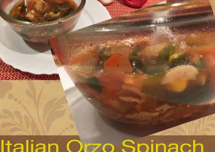 5 Easy Dinner Italian Orzo Spinach Soup