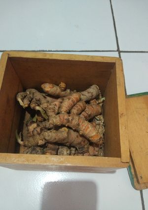 Foto resep Tips Simpan Rimpang, Kemangi, Tomat, Kacang Panjang Tanpa Kulkas