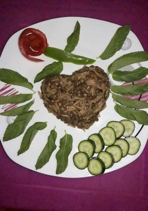 A picture of Mujadara Rice.