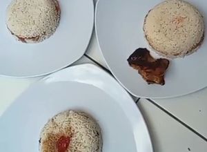 Foto resep Nasi Burger / Nasi Kepal🍔: Cakalang Tempe Sambal Penyet, Ayam Pedas, Daging Kecap