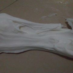 Gumpaste A picture of Gumpaste.