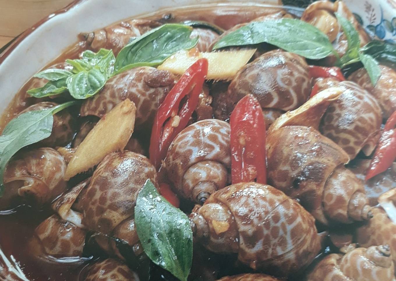 My spicy conches