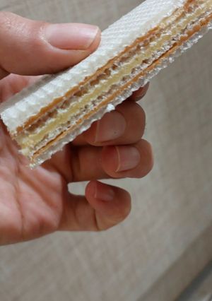 عکسی از دستور رنگارنگ