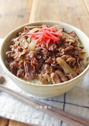 A picture of ☆Gyudon (Beef Bowl)☆.
