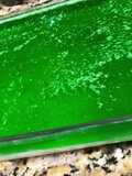 Gelatina Verde con su capa de philadelphia, nuez y piña!