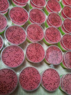 Foto resep Puding semangka 🍉