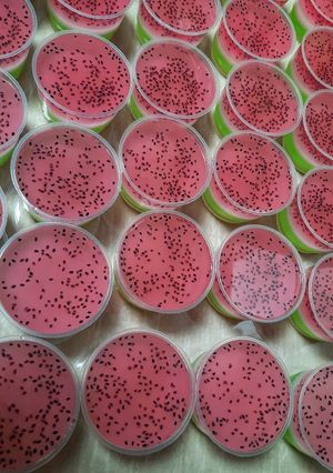 Foto resep Puding semangka 🍉