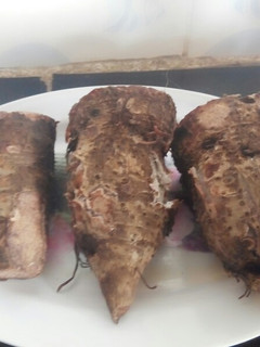 A picture of Arrow roots.