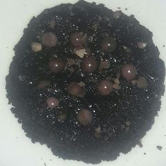 A picture of Oreo cake.