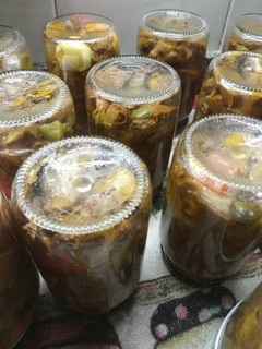 Una foto de Hongos de eucaliptos al escabeche