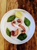 Beginner's Octopus 🐙