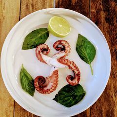A picture of Beginner's Octopus 🐙.