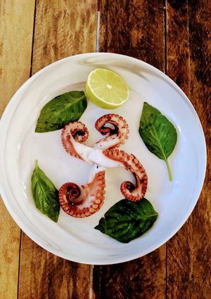 A picture of Beginner's Octopus 🐙.