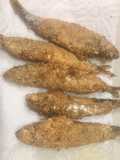 Sardinitas fritas gluten free