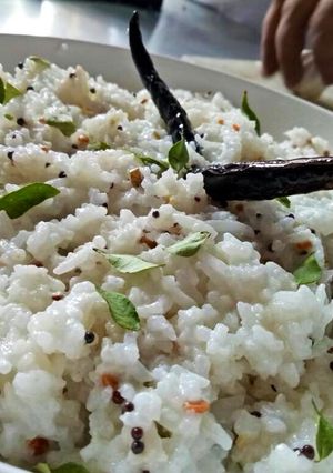 A picture of Curd rice.