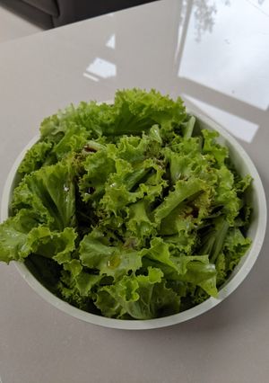 Foto resep Salad selada super simple