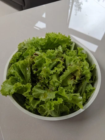 Cara Sederhana Menyiapkan Resep  Salad selada super simple yang Menggugah Selera, Lezat