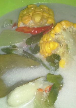 Foto resep Sayur Lodeh💙