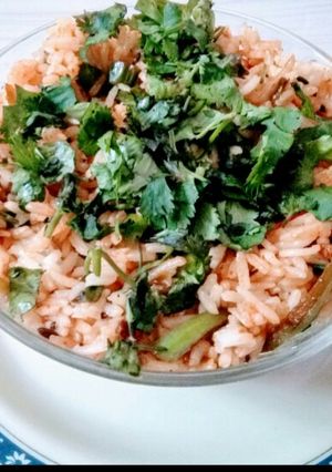 A picture of Vegetable Biryani.