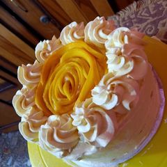 A picture of Mango 🥭 ice cake.