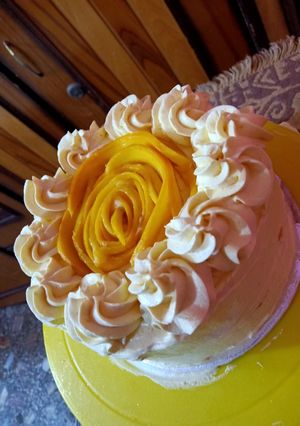A picture of Mango 🥭 ice cake.