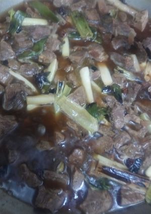 Foto resep Beef chinese stewed